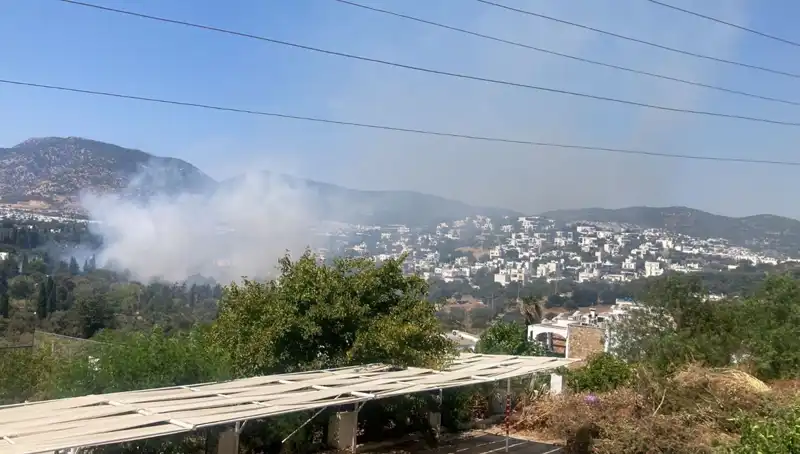 Muğla Orman Yangınları Kontrol Altına Alındı: Doğa Yeniden Hayat Buluyor