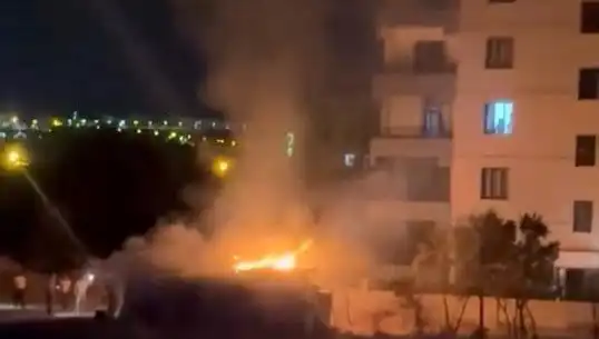 Elazığ'da Kümes Yangını: Tavuk ve Kuşlar Diğerleriyle Birlikte Telefi Oldu