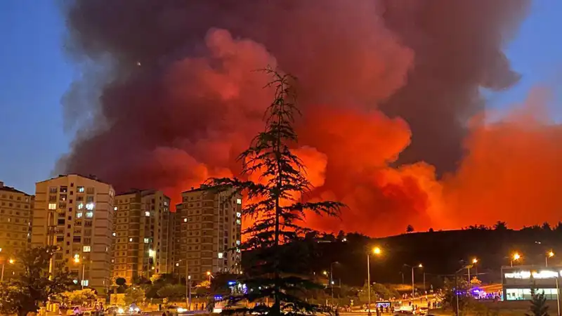 Bursa’da Yangınlar Kenti Korku İçinde Bıraktı: Neler Oluyor?