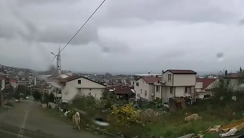 Sahipsiz Köpekler Tehlike Saçtı: 5 Yaşındaki Çocuk Ağır Yaralandı!