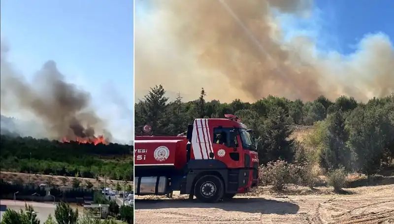 Gebze Orman Yangını: Doğanın Kalbi Yandı, İtfaiye Seferber Oluyor