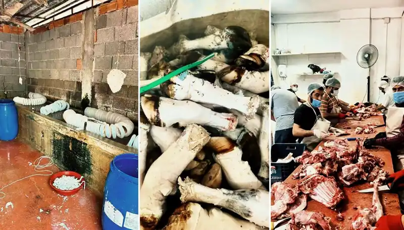 Adana'da Sarsıcı Olay: Yüzlerce Kilo Paça Ele Geçirildi!